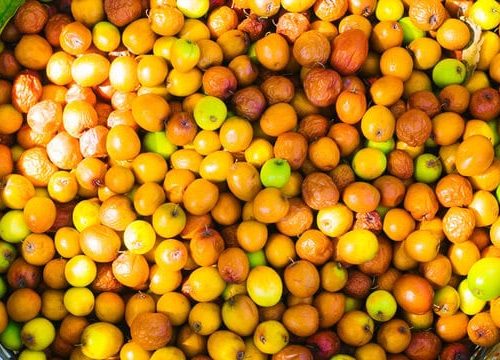 Mouth watering Ber pickle(200gm)