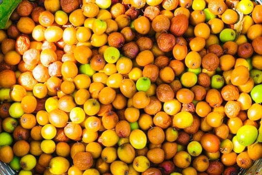 Mouth watering Ber pickle(200gm)