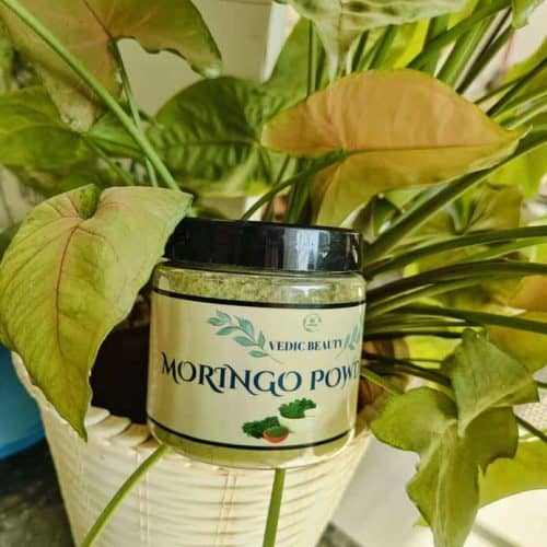 Moringo Powder 100 gm