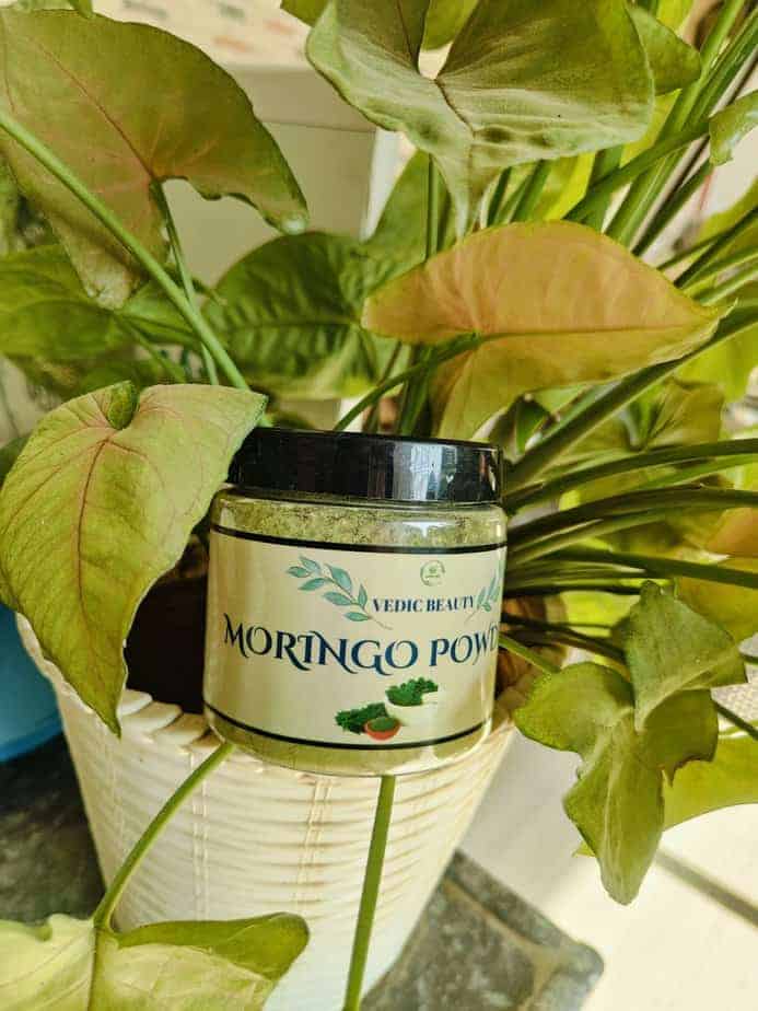 Moringo Powder 100 gm
