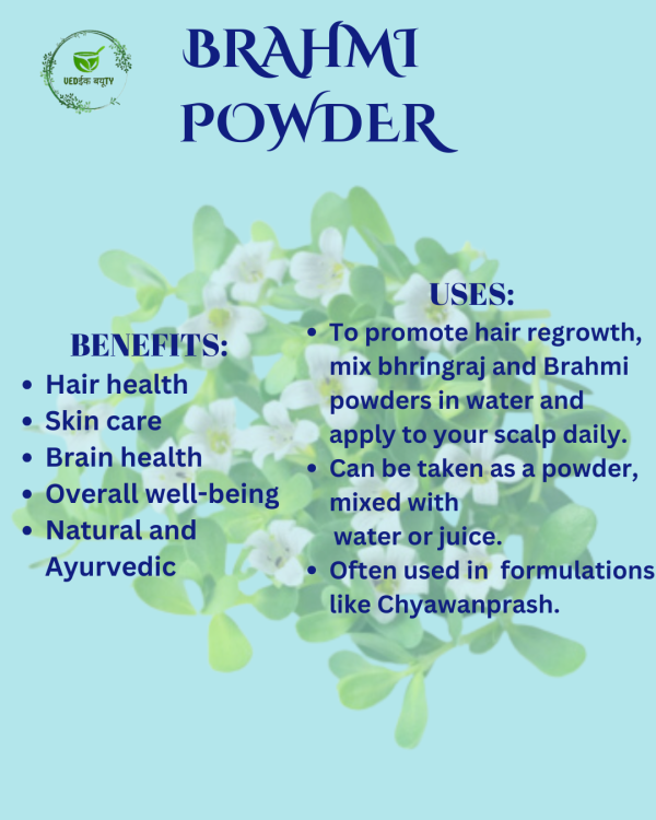 amla powder (1)